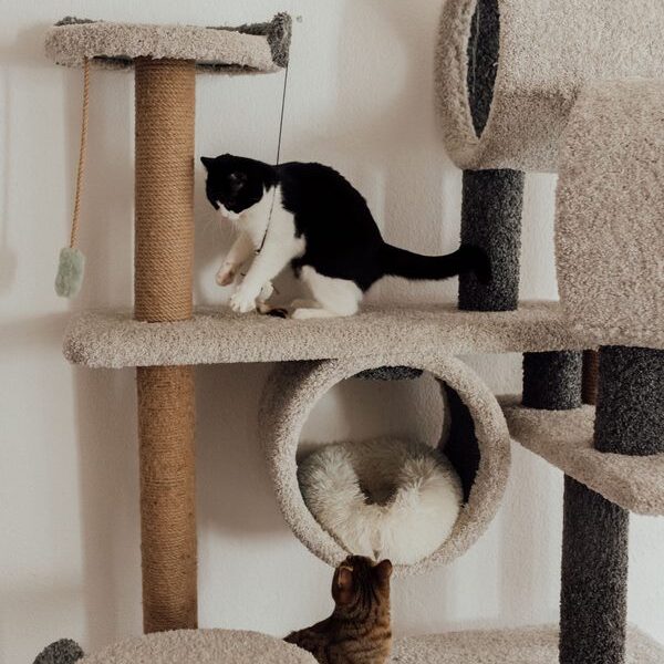 Bespoke Habitat E